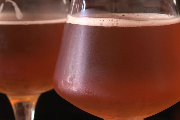 C'est unique en Creuse, une micro brasserie produit son propre houblon à Anzême, près de Guéret : les bières au malt d'orge et de blé sont fabriquées en famille !