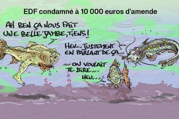 EDF condamnée par la justice pour avoir rejeté de l’acide sulfurique dans la Meuse.