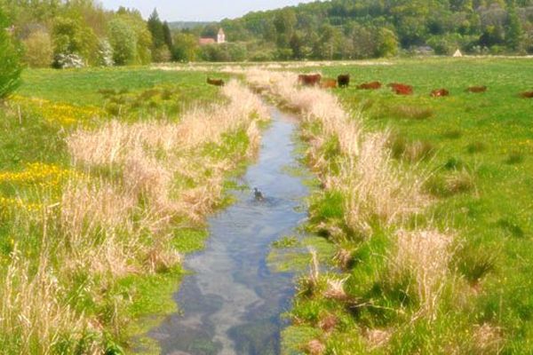 Cours d'eau à St Wandrille Rançon