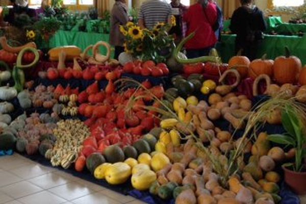 Les producteurs bio de la région proposent leurs produits en direct : manger bio c'est bien, mais aussi, quand les produits viennent de la région, c'est mieux !