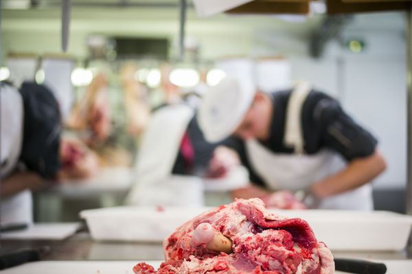 Clermont-Ferrand est la première ville française qui a rejoint le réseau mondial de l'Unesco des "villes apprenantes". Ateliers, conférences, tables rondes... seront organisées les 27 et 28 juin sur le thème de la viande. 