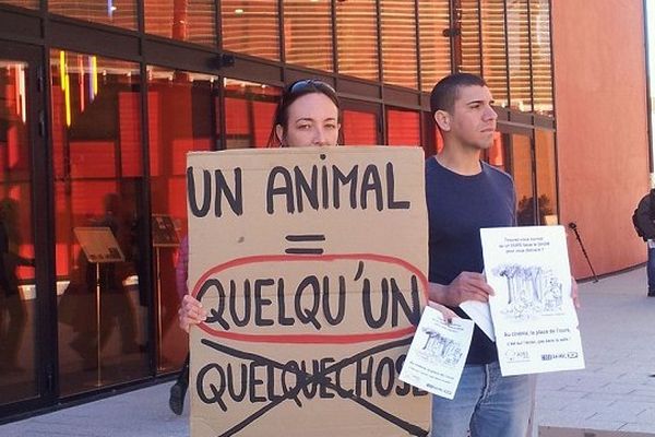 Ils étaient une quinzaine devant le cinéma