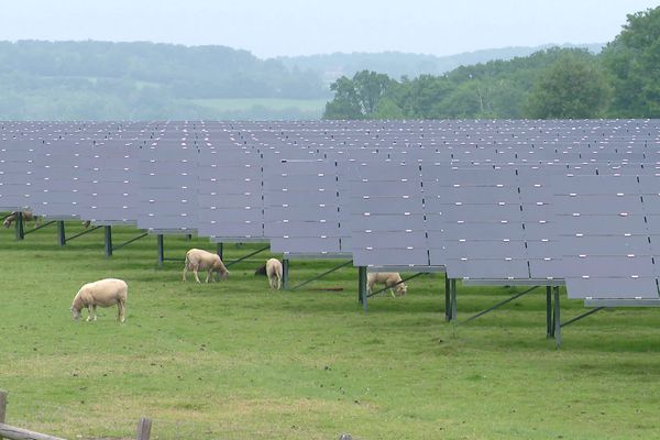 Des panneaux photovoltaïques dans un pré, en mai 2023.