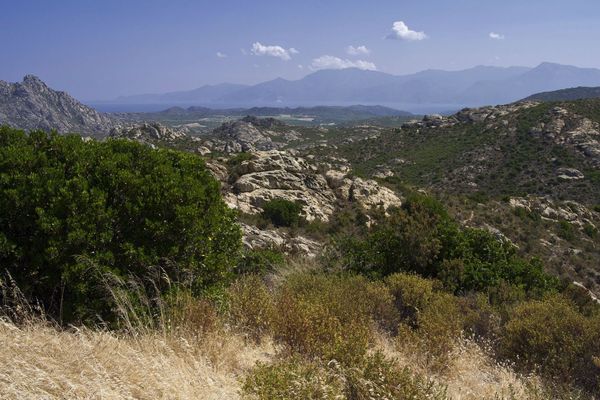 En Haute-Corse, le désert des Agriates sera fermé le 25 août pour limiter le risque d'incendies.