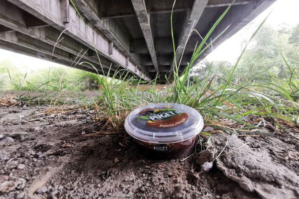 L'une des boîtes de tapenade qui ont été retrouvées au bord de l'Escaut, sur la commune d'Estrun.