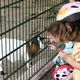 L'ancien petit zoo de l'Orangerie a fermé en 2022. Il a accueilli jusqu'à 100 animaux, domestiques ou exotiques.