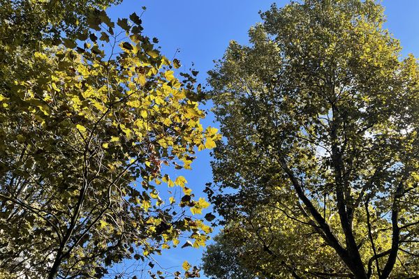 Le beau ciel bleu de Lille