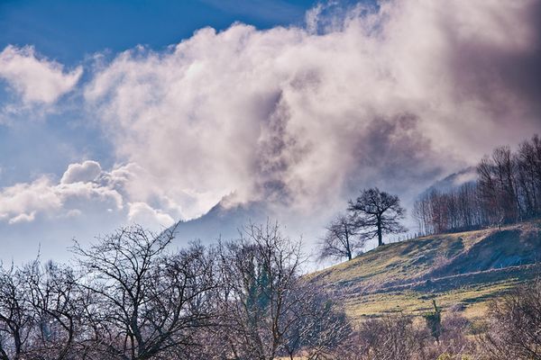 Foehn