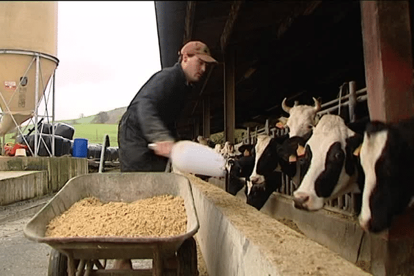 Mathieu Oyhenart à la tête de 49 vaches laitières ne s'en sort pas