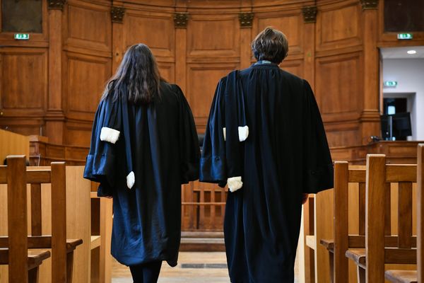 Une centaine d'avocats issus de la France entière s'est constituée en "brigade du droit contre le Rassemblement National", mardi 2 juillet, dans une tribune publiée dans Marianne.