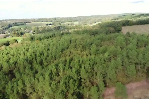 Vue aérienne de la forêt de Paimpont.