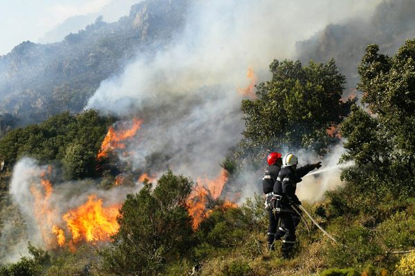 Tout l'été, sécheresse et tramontane ont engendré des risques sévères de feux de forêt dans les Pyrénées-Orientales. Image d'illustration. Vendredi 23 septembre.