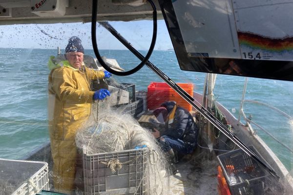 La pêche artisanale, en pleine crise médiatique des captures accidentelles de dauphins, est-elle condamnée à disparaître ?