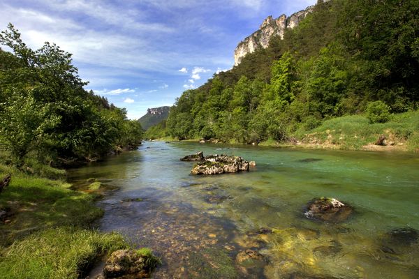 Alerte pollution aux cyanobactéries dans les Gorges du Tarn. L’Agence régionale de Santé a activé le niveau 3 « vigilance renforcée ».