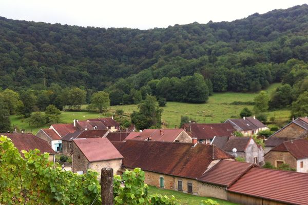 La commune de Rotalier, dans le Jura, et son vignoble.