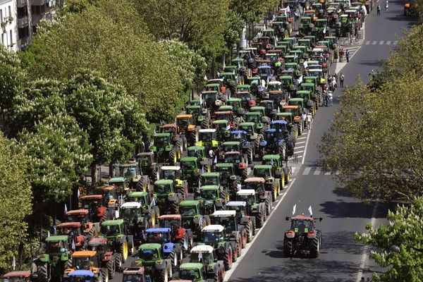 Manifestation des agriculteurs à l’appel de la FNSEA à Paris, le 27 avril 2010, pour protester contre la politique agricole européenne (illustration).