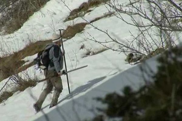 Chasser le chamois dans les Alpes du Sud pour le réintroduire en Lozère, une vrai défi