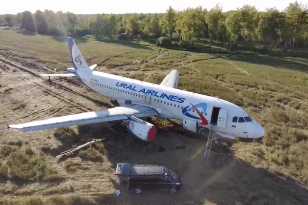 L'Airbus A320 de la compagnie Ural Airlines reste désespérément cloué au sol.