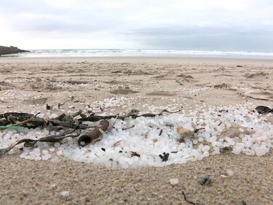 PÊCHE. Les filets fantômes, fléau invisible des océans