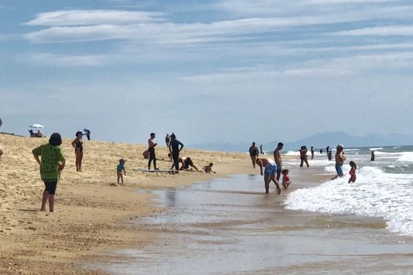 Bord de mer à la plage des Bourdaines de Seignosse
