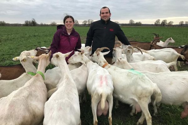 Adeline Fabre et Tony Liège ont repris cette exploitation de l'Allier en 2008, et ne pratiquent pas une agriculture bio mais "raisonnée".