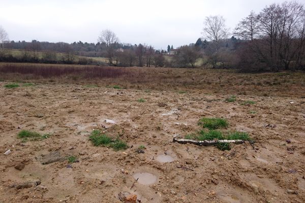 L'étang de la Bussière a été asséché pour permettre à la rivière L'Aurence de retrouver sa biodiversité.