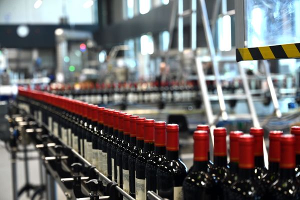 La consommation de vin a chuté de 20% ces 10 dernières années.