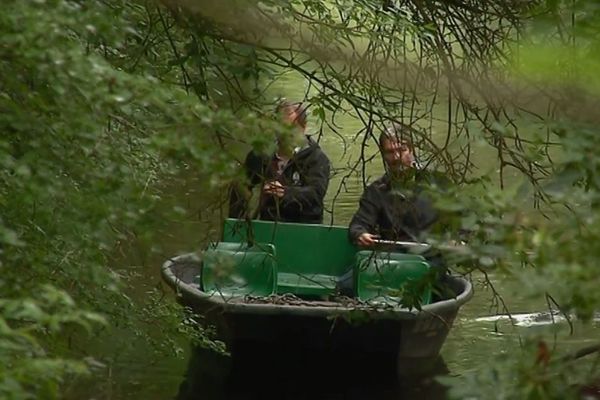 La Sèvre niortaise et ses multiples canaux constituent la colonne vertébrale du marais poitevin.