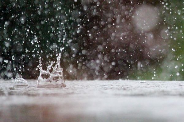 De la pluie, encore de la pluie.