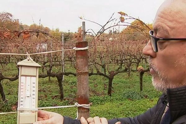 Michel Issaly, vigneron, surveille la température de près 