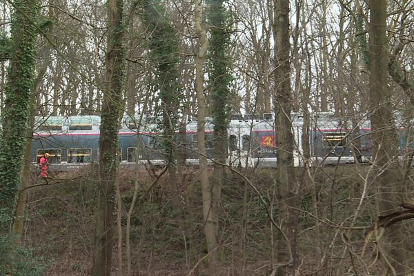 Lundi 26 février 2024, des voyageurs sont restés bloqués 8h30 dans un train de la ligne Le Havre-Rouen-Paris en raison d'une chute d'arbre.