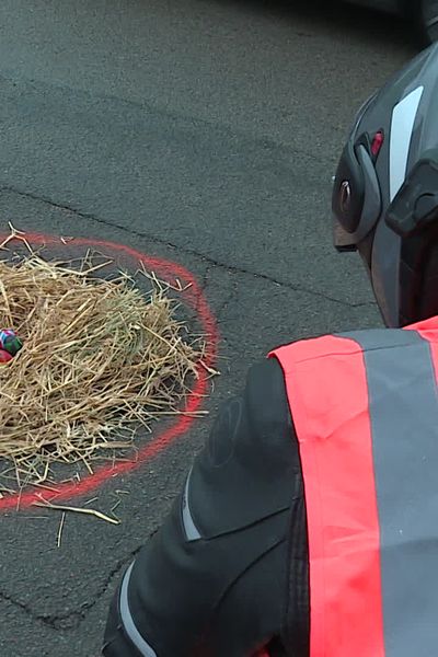 Marquage au sol, paille et œufs décorés aux couleurs de Pâques pour dénoncer l'état des infrastructures routières.