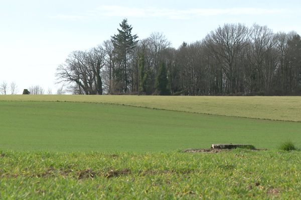 L'agriculture est un des premiers secteurs concernés par la sécheresse hivernale.