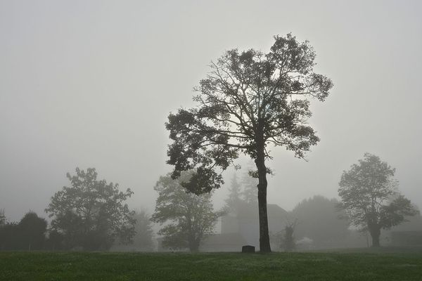 Un DIMANCHE de grisaille brumeuse en Normandie.