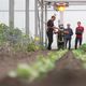 Depuis avril 2024, une ferme robotisée a ouvert ses portes à Lagny-le-Sec (Oise) et produits des légumes de saison bio.