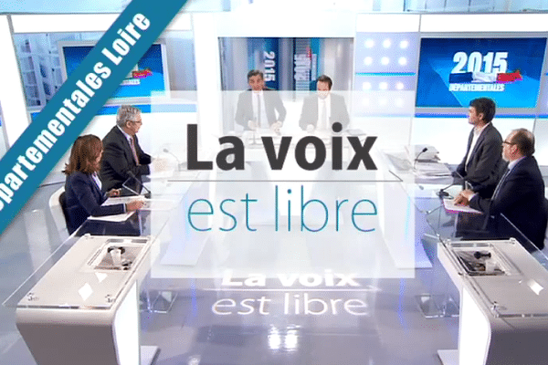 Bernard Bonne, président sortant UMP - Marc Petit, Front de gauche (Firminy) - Sophie Robert, Front National (Roanne) - Jean-Claude Tissot, Parti Socialiste (Saint-Marcel-de-Félines)