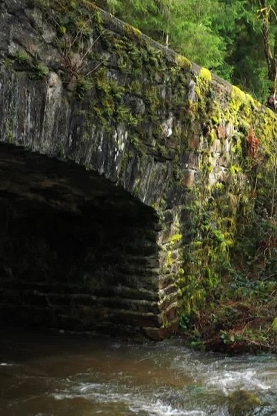 Découvrez ou redécouvrez les terrasses de la Dore dans le Puy-de-Dôme.