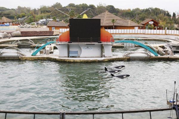 Le bassin des orques de Marineland, après les inondations