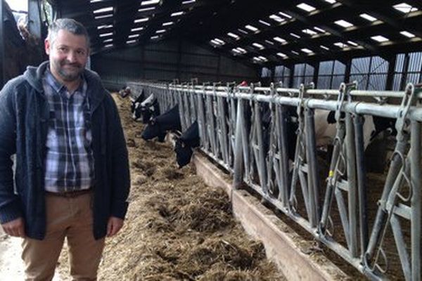 Un éleveur de la Somme accuse els éoliennes d'être à l'origine de la dégradation de la santé de son troupeau de vaches laitières