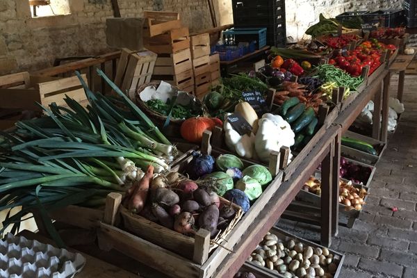 Les légumes de la Petite fermes des "Béliers" : ils sont bio