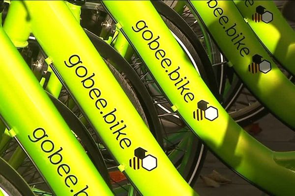 Après avoir retiré ses vélos à Lille, Reims et Bruxelles, la start-up "Gobbe bike" ne donne plus signe de vie à Lyon.