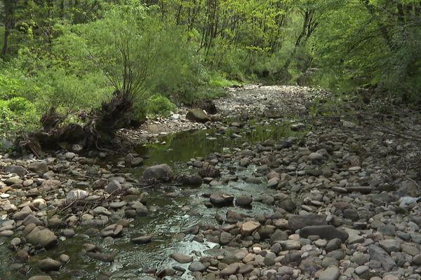 Après un hiver sans précipitations notables dans le Sud-Est de la France, la fin du printemps a été marquée par de nombreuses averses orageuses dans la région.