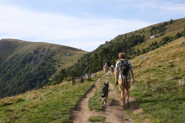 Après la restauration du sentier Est, c’est tout le sommet du Hohneck qui sera réaménagé avec la construction de nouveaux sentiers.