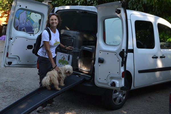 Drôle de métier : dans la métropole de Lyon, Delphine est taxi-ambulancier pour animaux de compagnie.