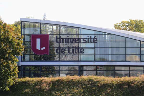 L'Université de Lille tournera au ralenti ce mardi 3 décembre 2024 lors d'une journée "morte", organisée pour demander plus de soutiens de la part de l'État.