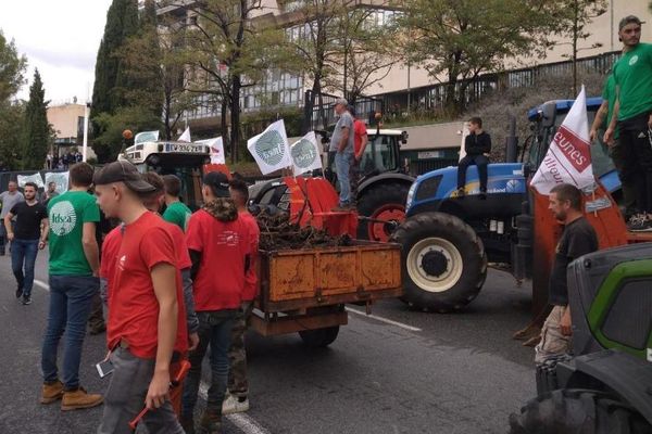 Les agriculteurs varois en train de manifester ce mardi.