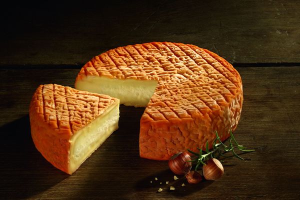 Cest Officiel Le Meilleur Fromage Du Monde Est Un époisses De La Fromagerie Berthaut 