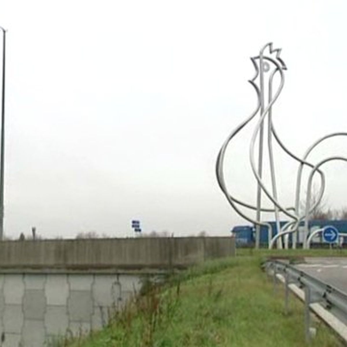 L aire du poulet de Bresse se d carcasse et la cote