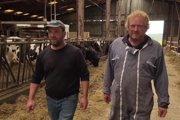 Dans leur exploitation de Maisonnais-sur-Tardoire, en Haute-Vienne, les frères Brandy élèvent des Limousines et des Prim’Holstein dans leur GAEC du Masveyraud. Des vaches laitières qui, depuis trois générations, alimentent une laiterie périgourdine. Mais cette laiterie est désormais devenue trop grande pour ces agriculteurs et elle ne correspond plus à leurs attentes.