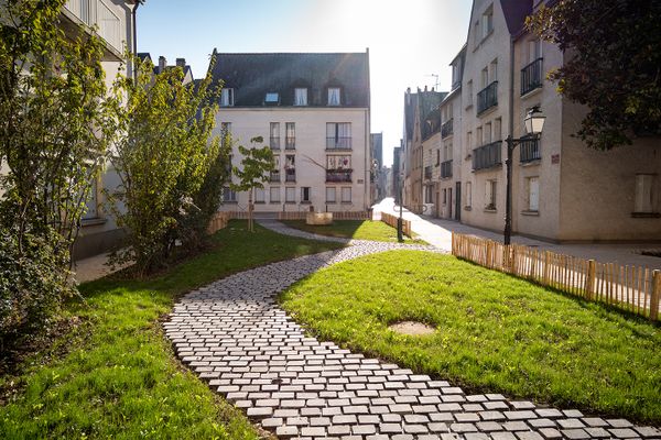 La Place Robert Picou à Tours, végétalisée. Crédit F. Lafite